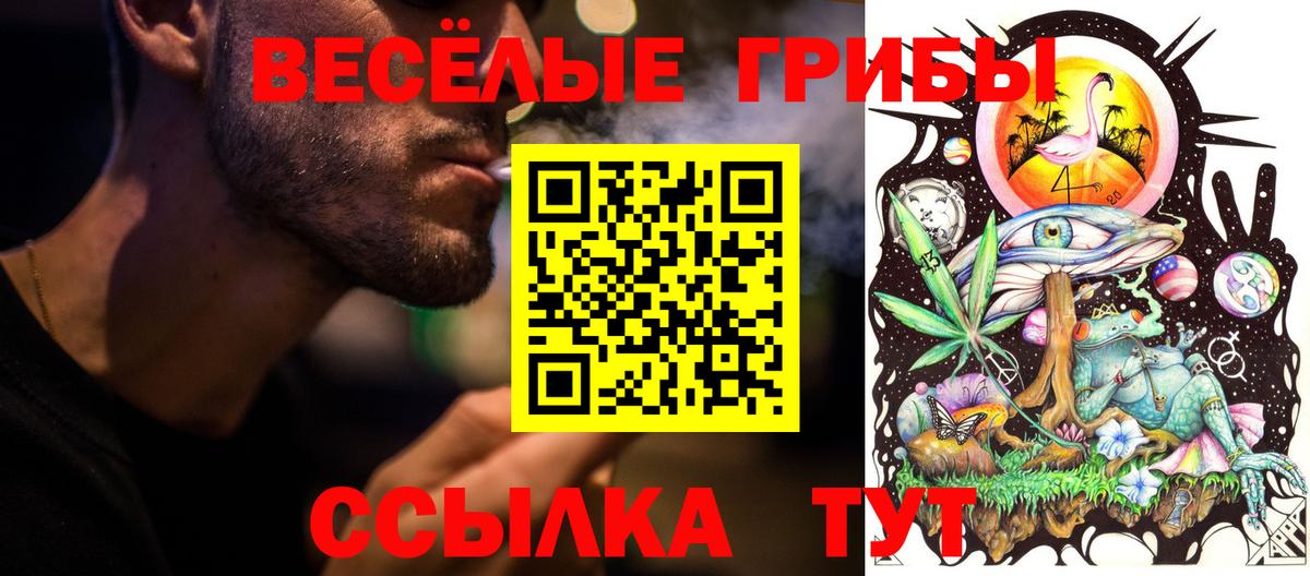 Лысьва  Галлюциногенные грибы прущие грибы  Вход с VPN 