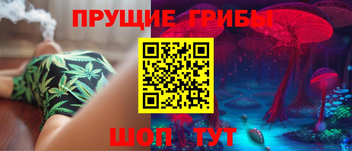 Псилоцибиновые грибы GOLDEN TEACHER Лысьва